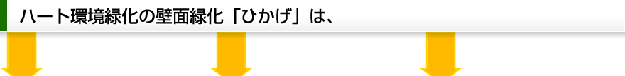 「ひかげは」、