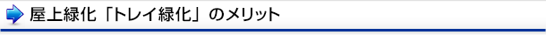 屋上緑化「トレイ緑化」の3つのメリット