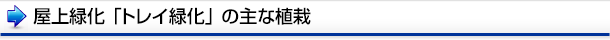 主な屋上緑化「トレイ緑化」の植栽関連プロダクツ